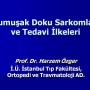 Yumuşak Doku Sarkomları ve Tedavi İlkeleri - 5. Uluslararası Katılımlı Uludağ Ortopedi ve Travmatoloji Günleri / Mart 2005